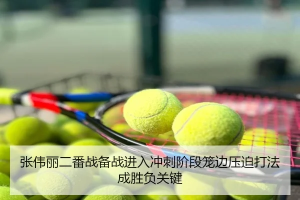 张伟丽二番战备战进入冲刺阶段笼边压迫打法成胜负关键